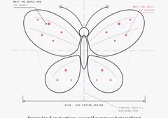 A mechanical drawing of a butterfly in pink drafting linework, wings spread symmetrically across a vertical pink centerline, with callouts labeling the left wing what the world saw, the sparkle, and the right wing what she built, the strategy. A dimension line under the wingspan reads span, one entire region. A margin note in italic serif reads drawn loud on purpose, so you'd never see her working. The title block reads scale none, sung by heart.
