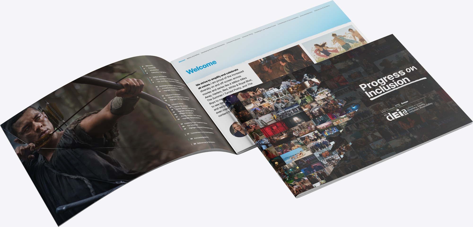Spreads from the Progress on Inclusion report