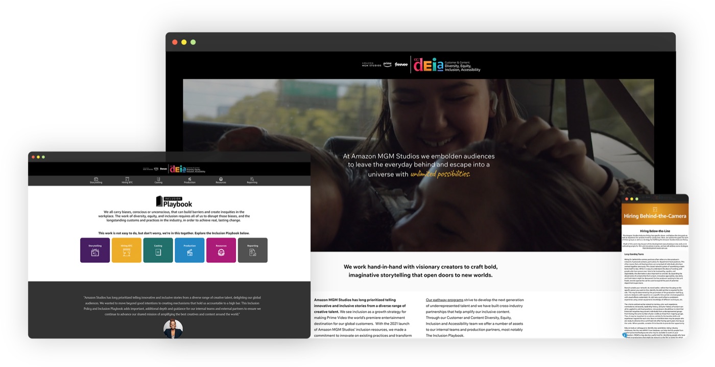 Progress on Inclusion website