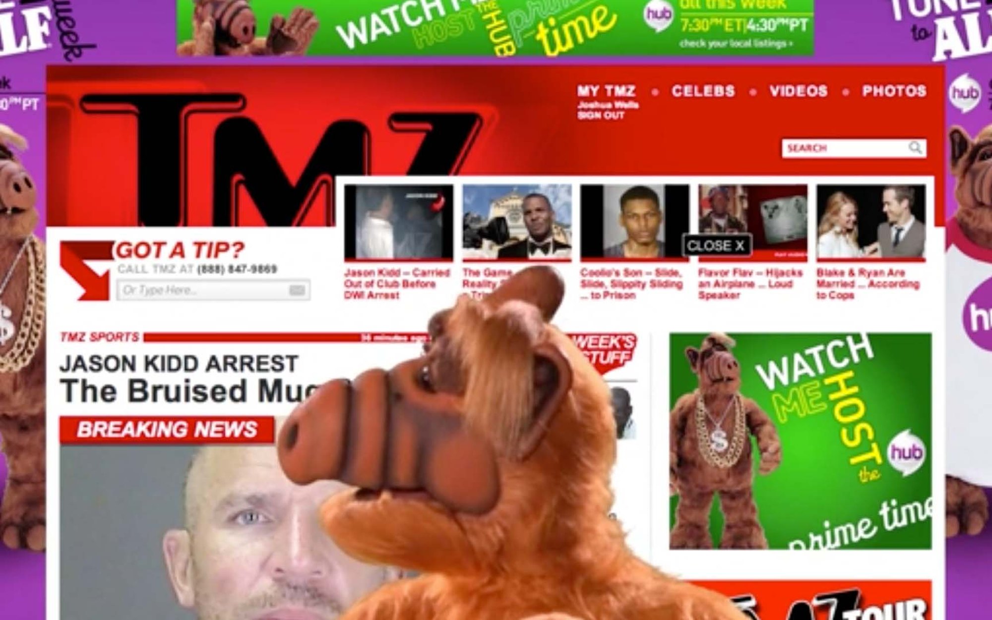 ALF climbing over the TMZ homepage for The Hub